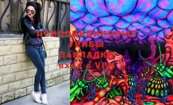молекула духа Алексин