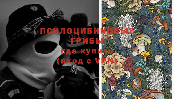 каннабис Арсеньев
